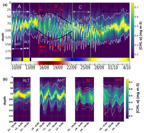 Impact of internal tides on chlorophyll a distribution and primary production off the Amazon shelf from glider measurements and satellite observations