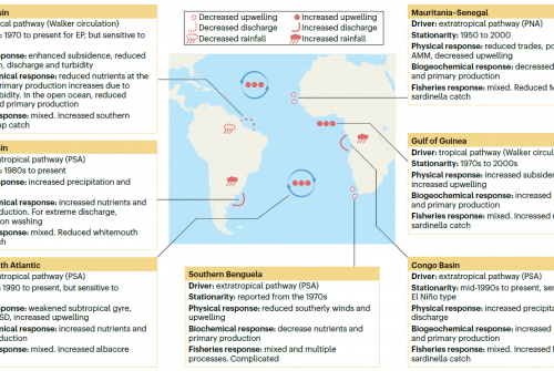 ENSO impacts on marine ecosystems and fisheries in the tropical and South Atlantic