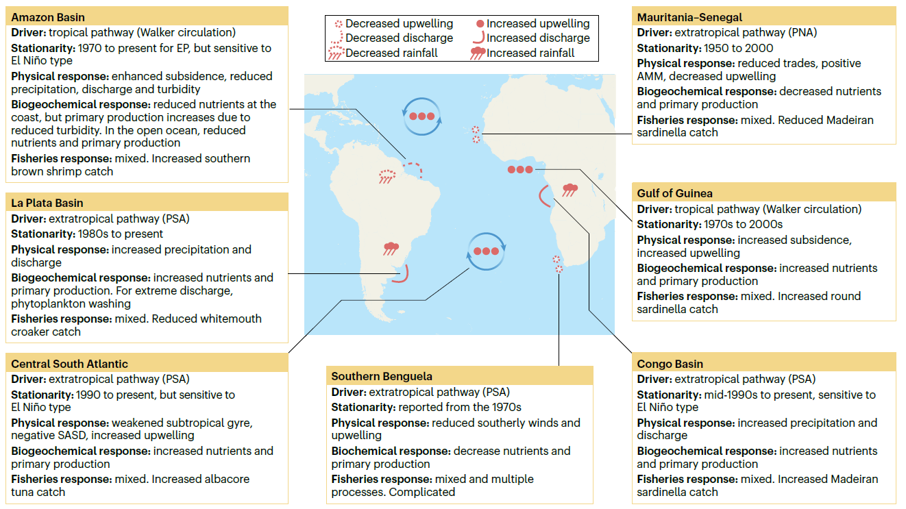 ENSO impacts on marine ecosystems and fisheries in the tropical and South Atlantic