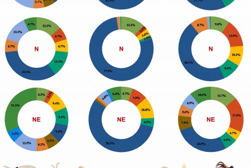 Biodiversity and vertical distribution of pelagic cephalopods in the Western Tropical Atlantic