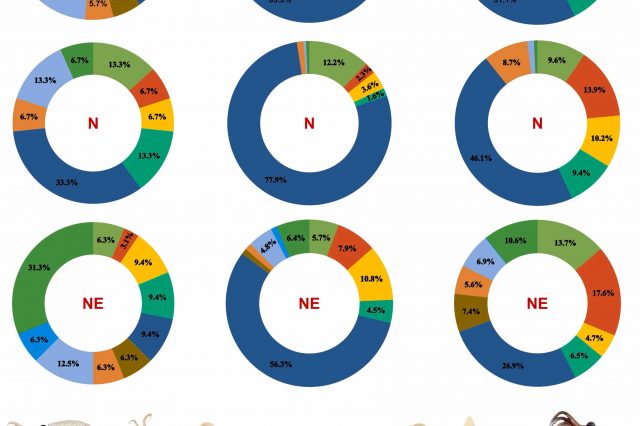 Biodiversity and vertical distribution of pelagic cephalopods in the Western Tropical Atlantic