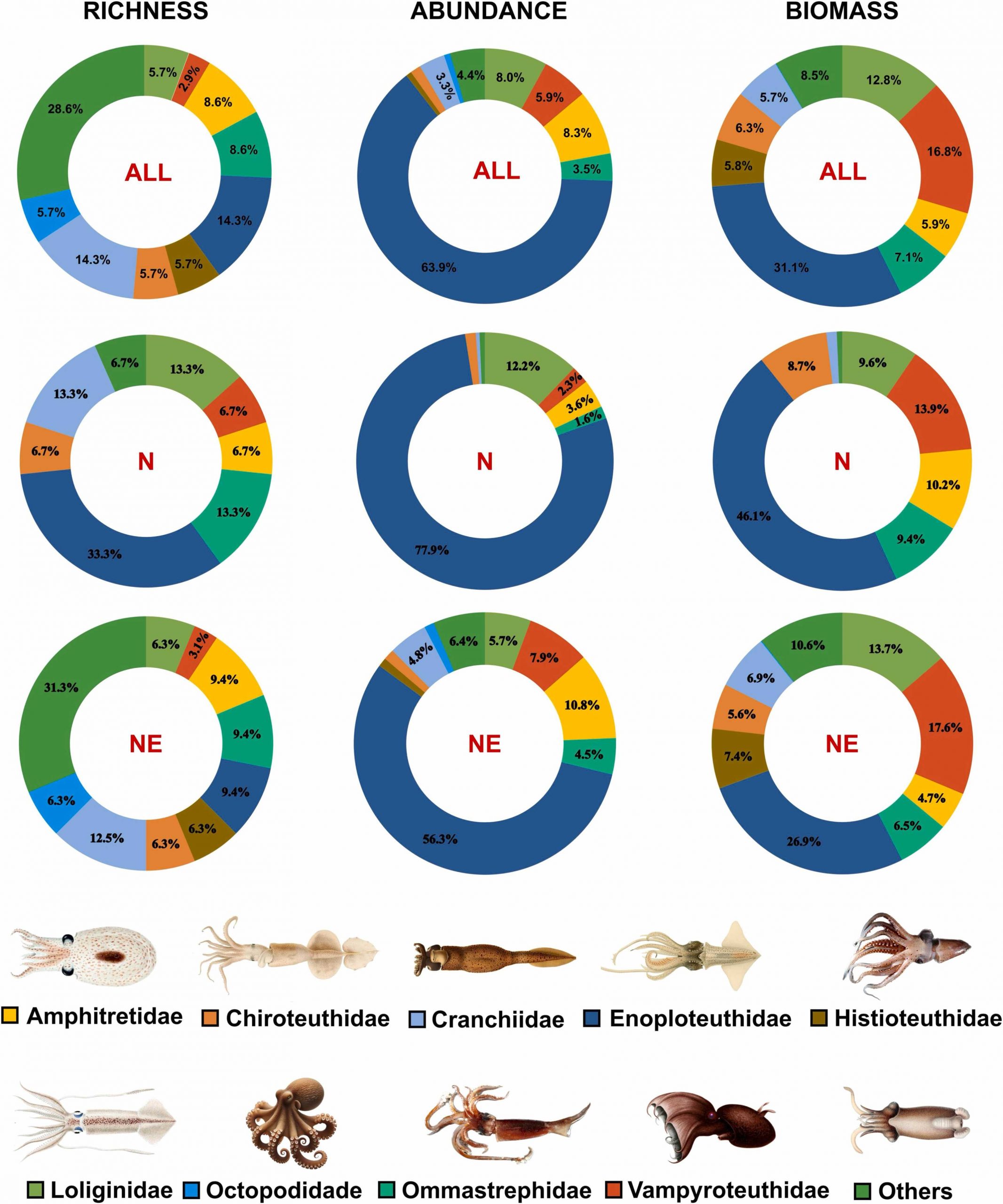 Biodiversity and vertical distribution of pelagic cephalopods in the Western Tropical Atlantic