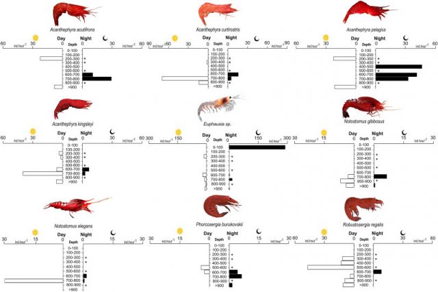Vertical migration, trophic structure, and ecological strategies of deep-pelagic crustaceans across contrasting systems in the western tropical Atlantic