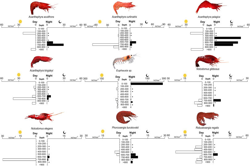 Vertical migration, trophic structure, and ecological strategies of deep-pelagic crustaceans across contrasting systems in the western tropical Atlantic