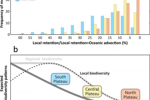 Species dispersal and community assembly facing the Atlantic meridional Overturning circulation