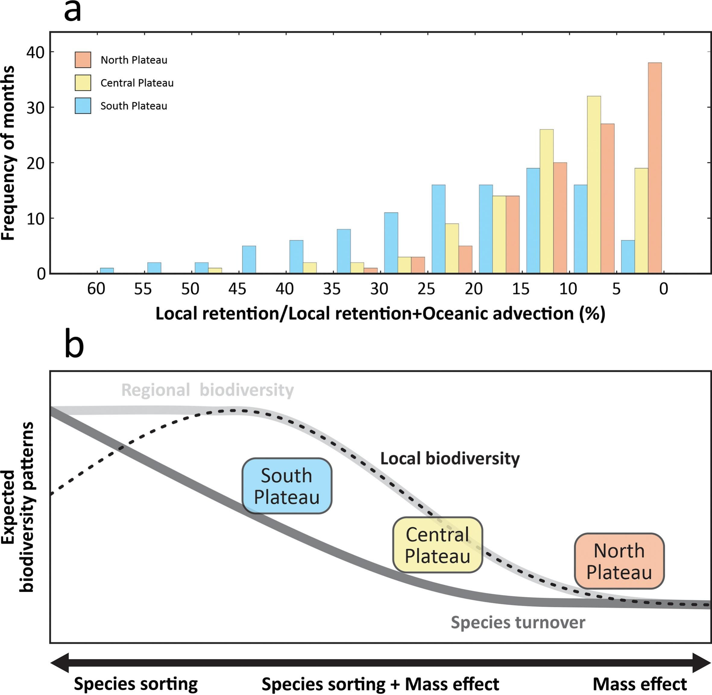 Species dispersal and community assembly facing the Atlantic meridional Overturning circulation