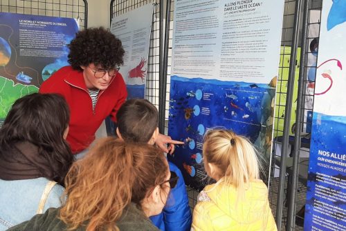 L’exposition Terra Mar à Escale à Sète : quand l’art et la science racontent l’océan Atlantique