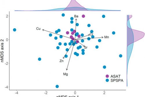 Saint Peter and Saint Paul Archipelago as a key stopover for yellowfin tunas from the Gulf of Guinea