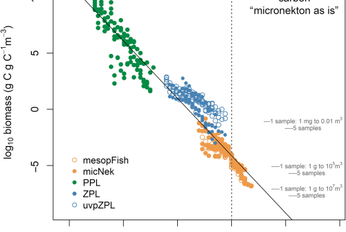 Synthetic pelagic biomass size spectra of the tropical and subtropical Atlantic