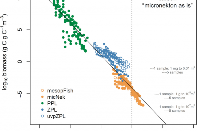 Synthetic pelagic biomass size spectra of the tropical and subtropical Atlantic