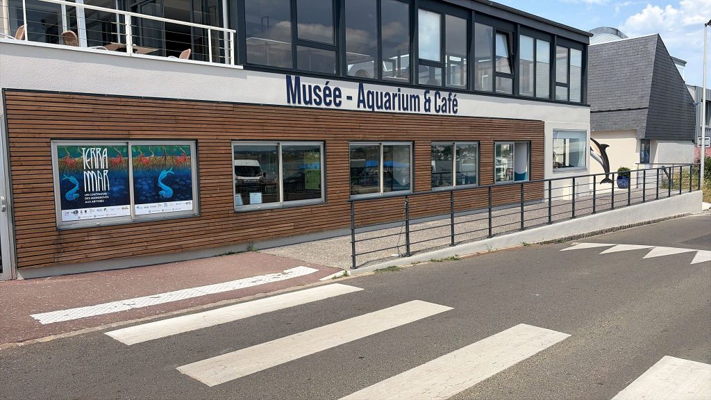 View of the temporary exhibition hall at Au Cœur du Roc museum-aquarium in Granville, featuring panoramic windows overlooking the bay of Mont-Saint-Michel and a modern interior designed for art and science exhibitions.