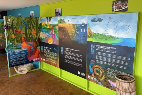 Exposição Terra Mar inaugura temporada de um ano no renovado Museu-Aquário Au Cœur du Roc, em Granville
