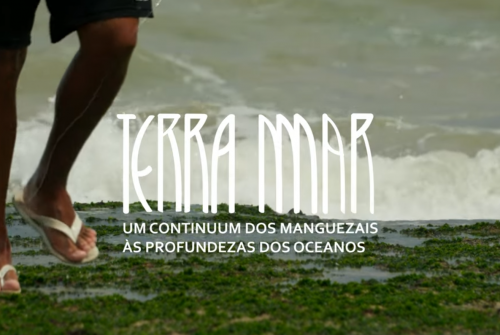 Documentaire Terra Mar : un projet qui unit science, art et culture pour la défense des océans
