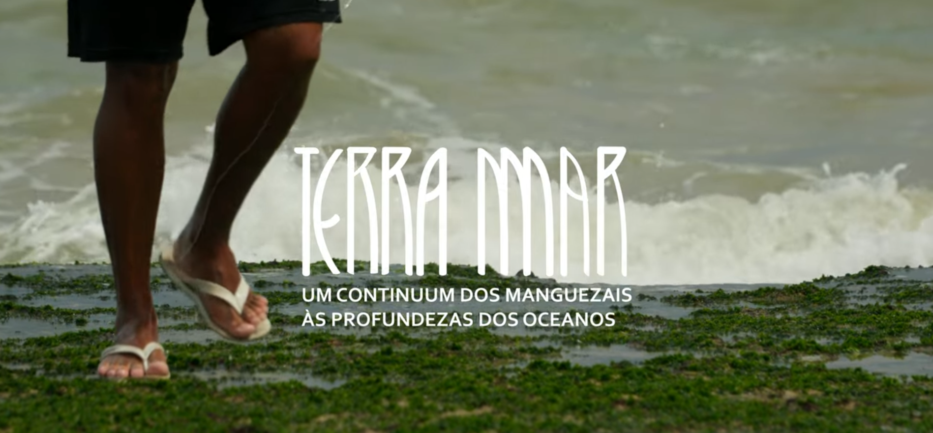 Documentário Terra Mar um projeto que une ciência, arte e cultura em defesa dos oceanos